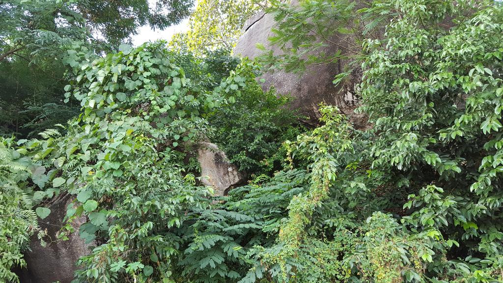 Villa Kayola - Self Catering Pointe La Rue 外观 照片